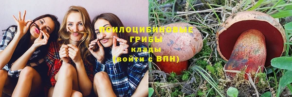 бошки Алексеевка