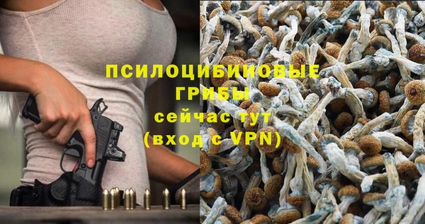 бошки Алексеевка