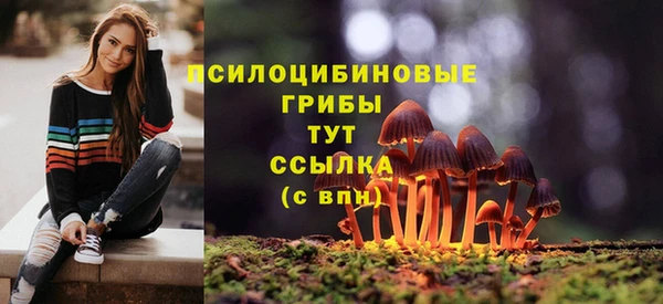 герыч Алзамай