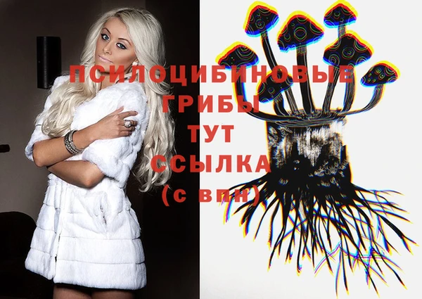 герыч Алзамай