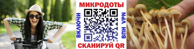 закладки  Закаменск  Галлюциногенные грибы GOLDEN TEACHER 